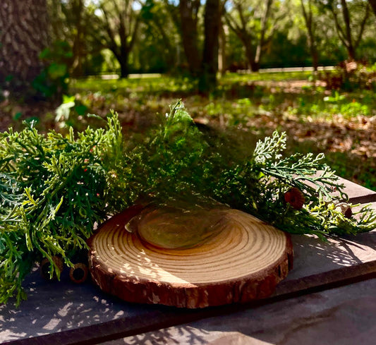 Wood Slice